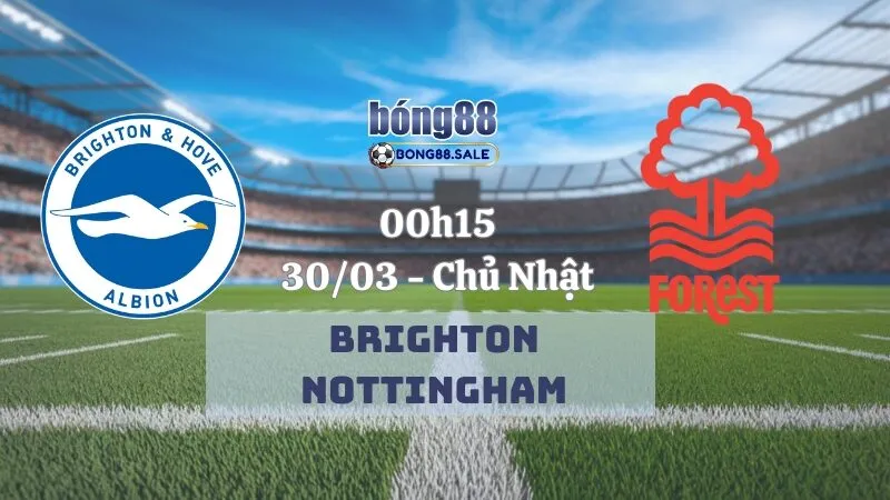 Tip kèo bong88 Cúp FA | Brighton - Nottingham Forest 30/03/2025