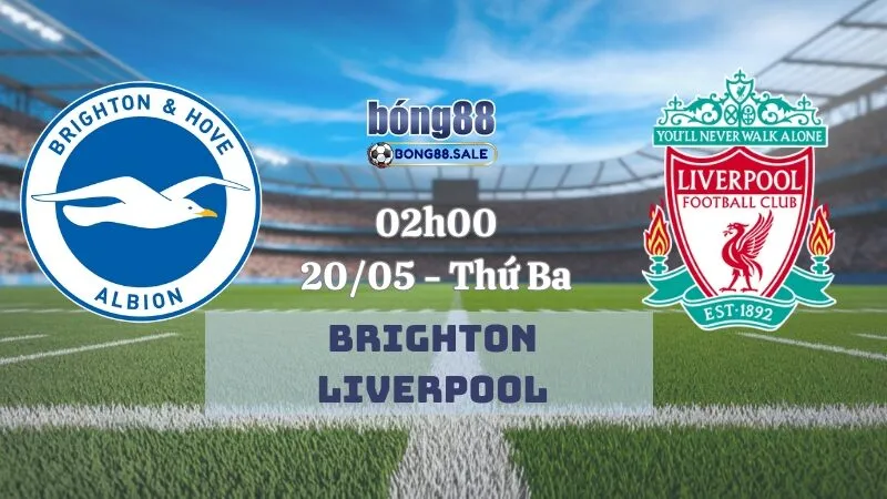 Nhận Định Kèo Hôm Nay Bong88 Ngoại Hạng Anh | Brighton - Liverpool 20/05/2025