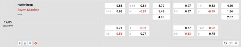 Trên đây là tỷ lệ kèo trận đấu Hoffenheim - Bayern Munich