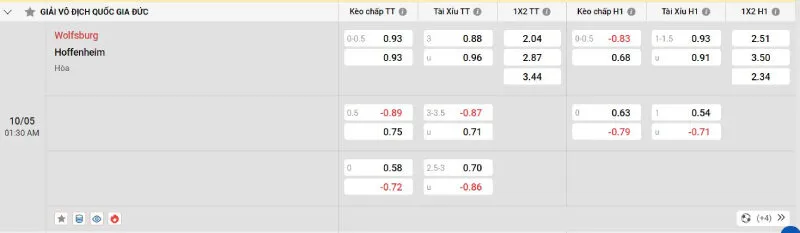 Cập nhật tỷ lệ kèo trước trận đấu Wolfsburg - Hoffenheim