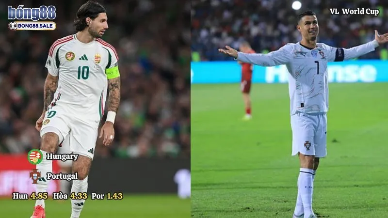 Kèo Thơm Hôm Nay Bong88 Vòng Loại World Cup | Hungary - Bồ Đào Nha 10/09/2025