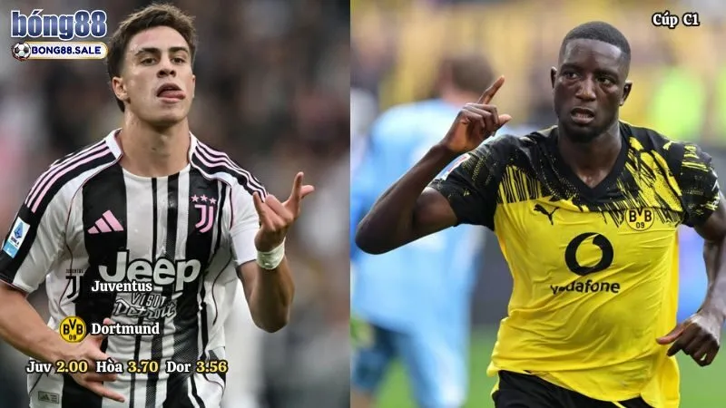Tỷ Lệ Kèo Bong88 Cúp C1 | Juventus - Dortmund 17/09/2025